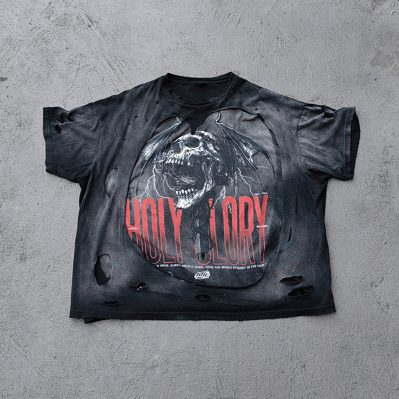 Y2K Black Distressed Tee - Holy Glory Winged Skull Lightning Big Logo Print Dirty Wash Inside Out Ripped Gothic Streetwear
