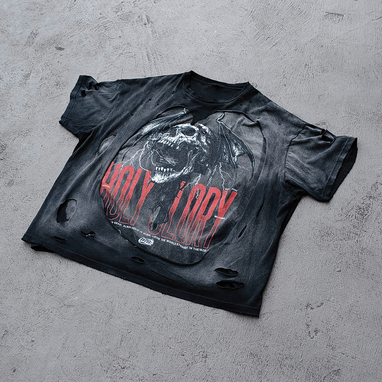 Y2K Black Distressed Tee - Holy Glory Winged Skull Lightning Big Logo Print Dirty Wash Inside Out Ripped Gothic Streetwear