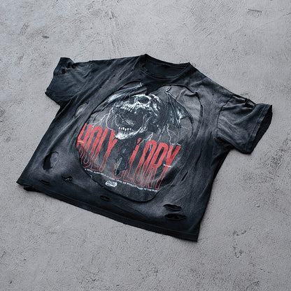 Y2K Black Distressed Tee - Holy Glory Winged Skull Lightning Big Logo Print Dirty Wash Inside Out Ripped Gothic Streetwear