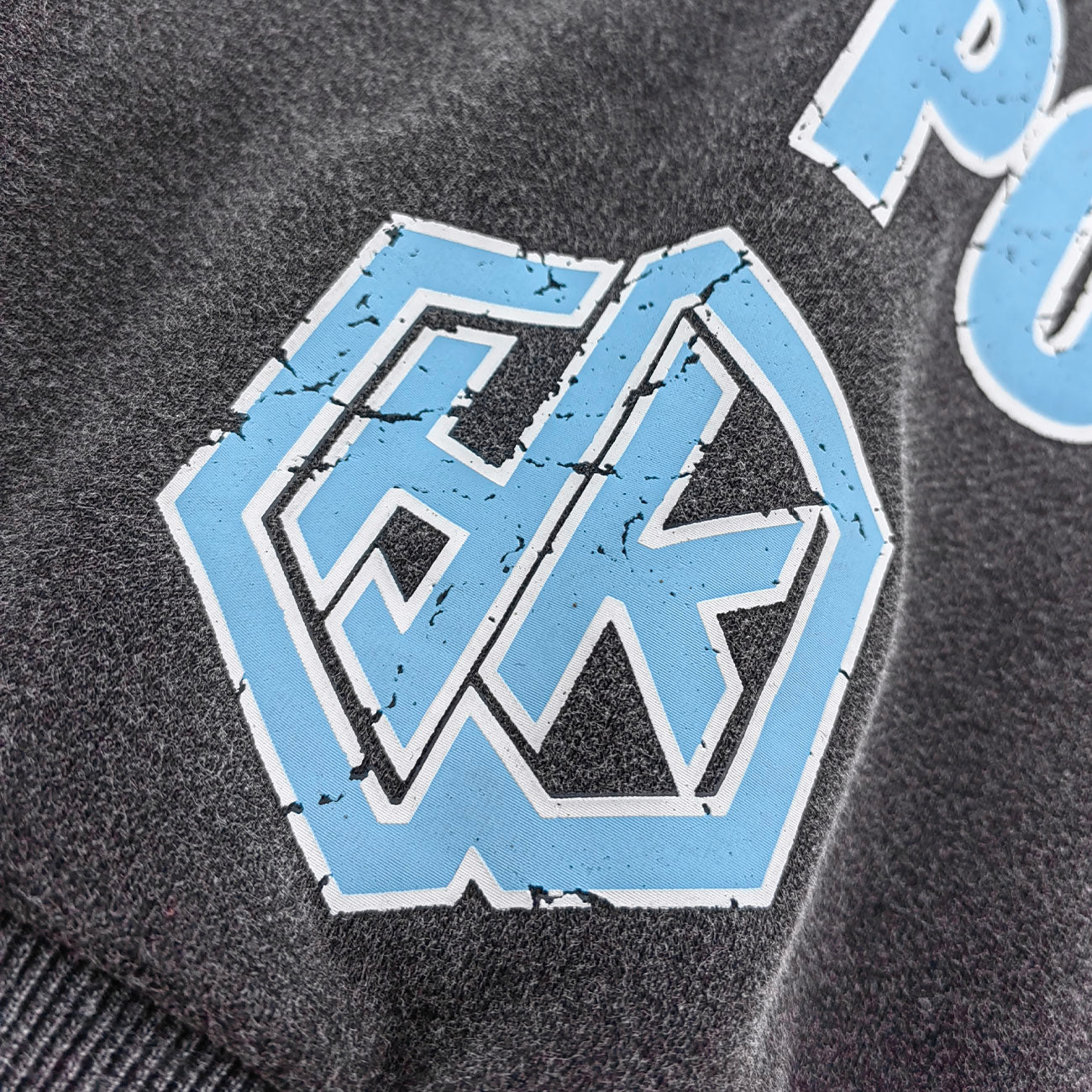 Vintage Wash Panther Hoodie - Distressed Y2K Streetwear Sweatshirt